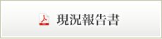 現況報告書